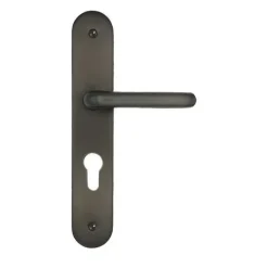 Poignée de porte sur plaque Jade alu gris cylindre 195mm