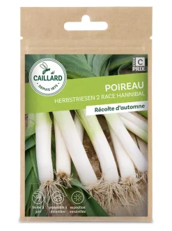 Poireau Herbstriesen 2 Race Hannibal 3g CAILLARD