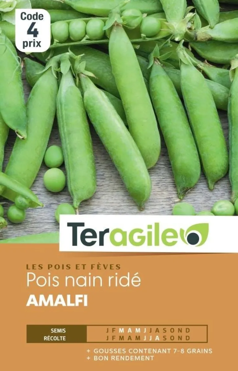 Pois Nain Ridé Amalfi 30g TERAGILE