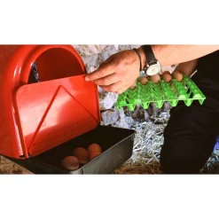 Pondoir en plastique rouge avec compartiment oeufs