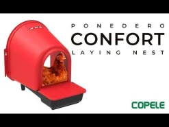 Pondoir en plastique rouge avec compartiment oeufs