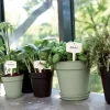 Pot de culture Green Basics Ø17cm Vert ELHO