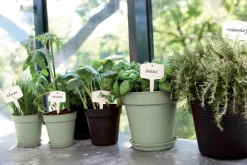 Pot de culture Green Basics Ø17cm Vert ELHO