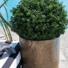 Pot Casamance Ø24.5 x 21.5 cm - Vendu à l'unité DEROMA