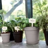 Pot de culture Green Basics Ø21cm violet ELHO