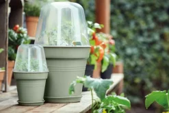 Pot de culture Green Basics Ø24cm Vert ELHO
