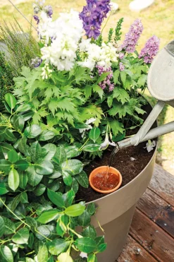 Pot d'irrigation Olla AquaDo 35x26,9 cm DEROMA