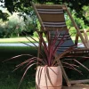 Pot en terre cuite Vaso Com'O Ø35 cm DEROMA