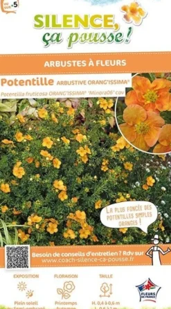 Potentille arbustive "Orang'issima" Pot 4L SILENCE ÇA POUSSE