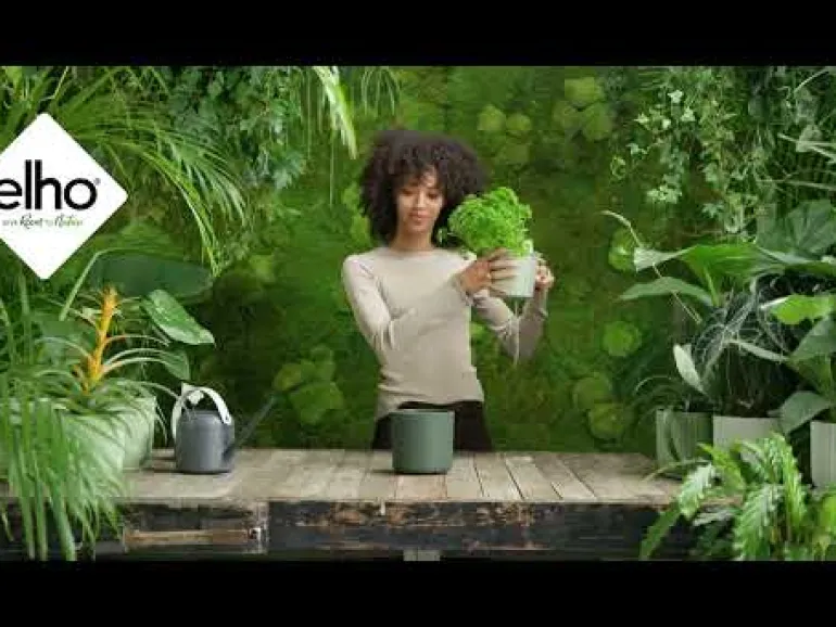 Pot Happy Herbs Ø15cm Vert ELHO