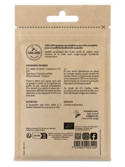 Potiron Rouge très Hatif d'Étampes Bio 3g CAILLARD