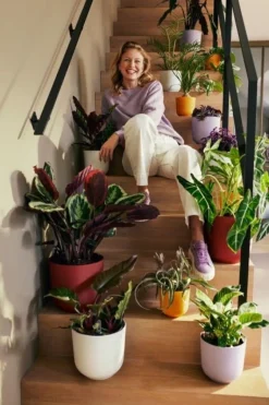 Pot Jazz Rond Ø16cm Rouge ELHO