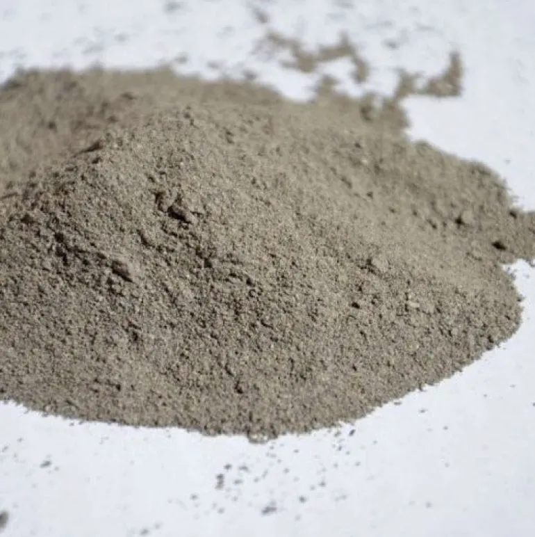 Poudre de terre de diatomée - seau de 2,5 kg