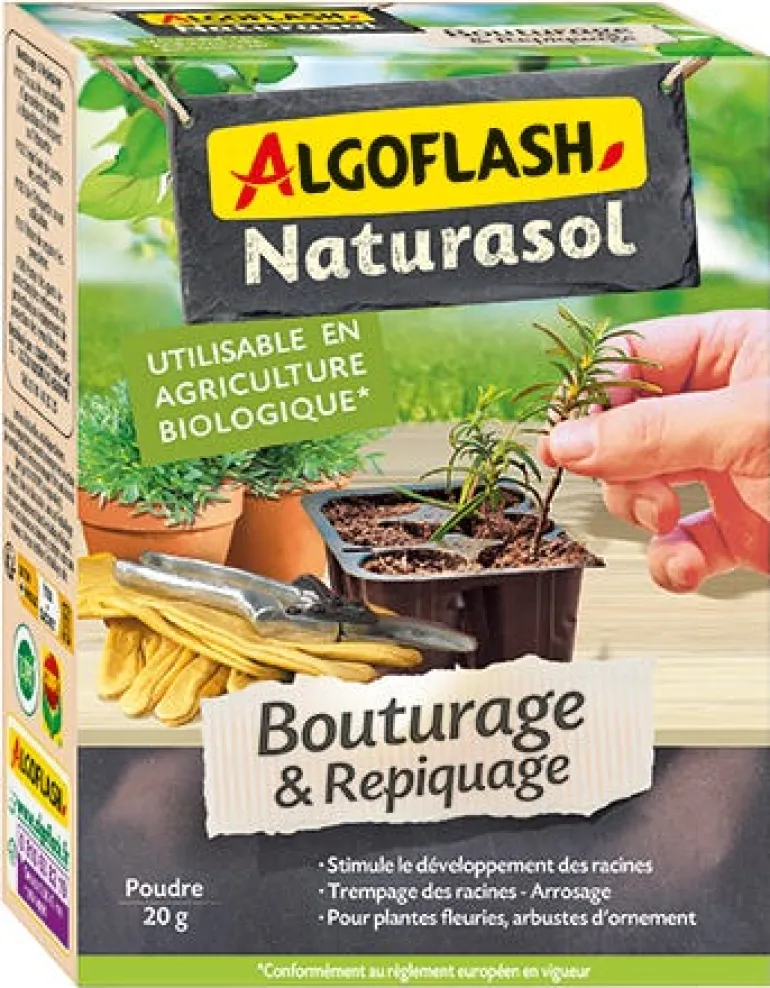 Poudre diluer Bouturage & Repiquage Algoflash Naturasol 20g