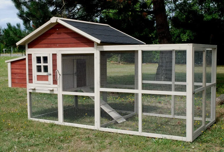 Poulailler Michigan 4/6 poules 233x115x121 cm