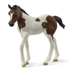 Poulain Paint Horse