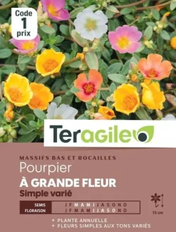 Pourpier à Grande Fleur Simple Varié 0,7g TERAGILE