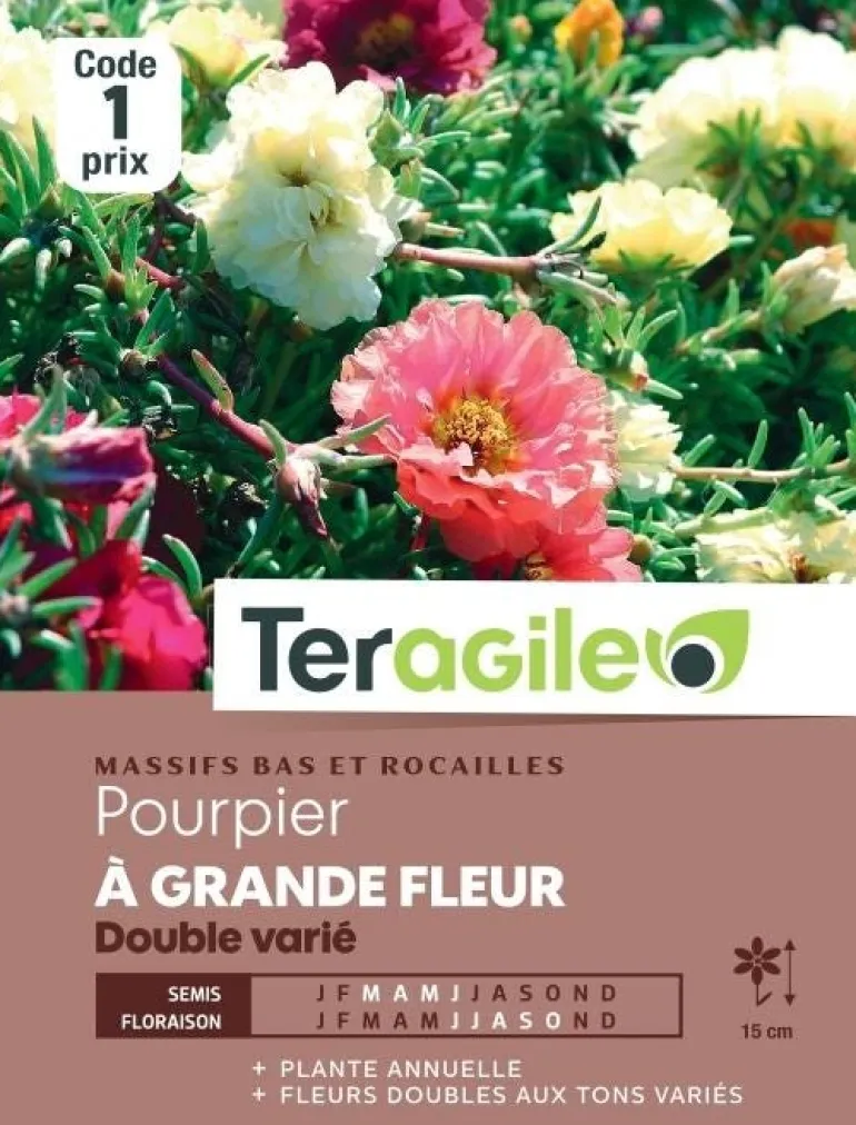 Pourpier à Grande Fleur Double Varié 0,7g TERAGILE