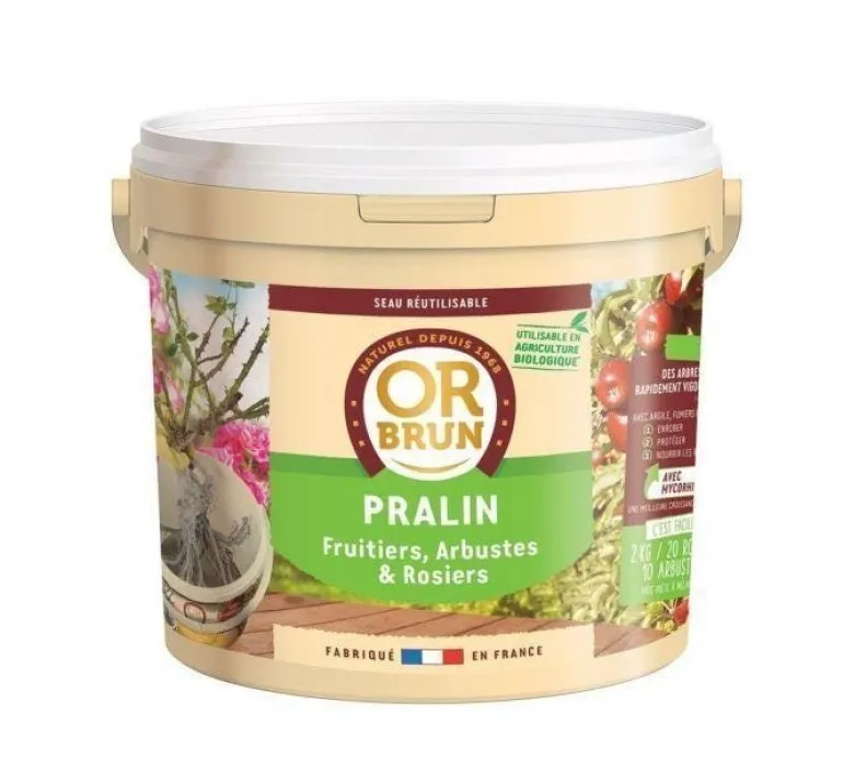 Pralin naturel seau de 2kg OR BRUN