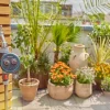 Programmateur d'arrosage EasyPlus GARDENA