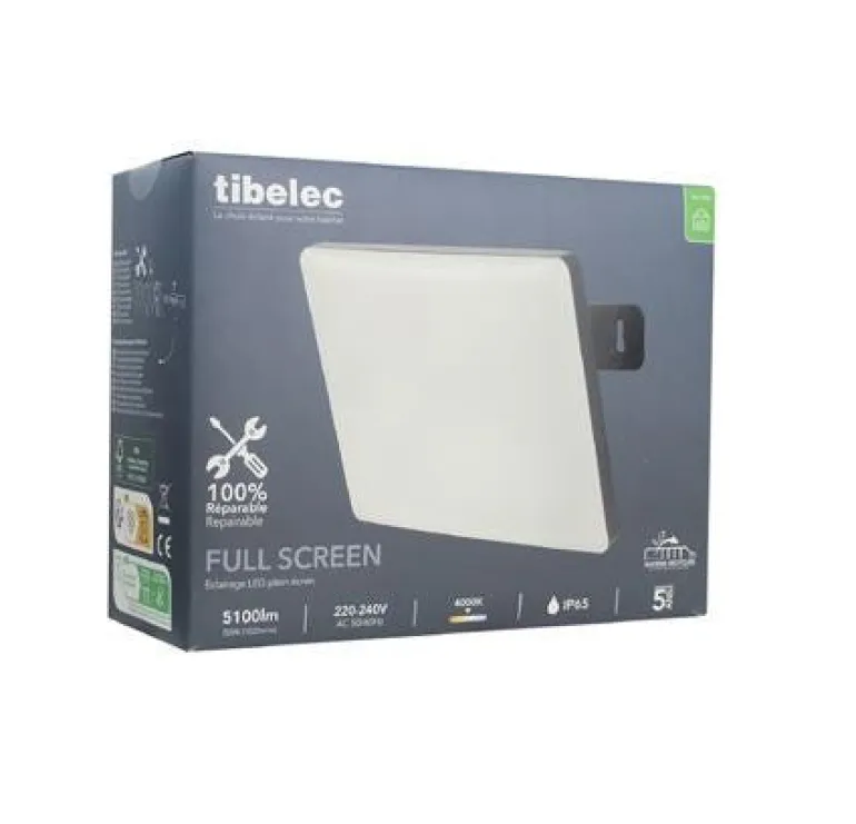 Projecteur LED Full Screen noir 50W 5100 lm 4000K 360°