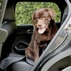 Protection de banquette voiture imperméable pour animaux