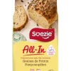 Préparation pour pain aux graines de potiron 2,5kg - All-in
