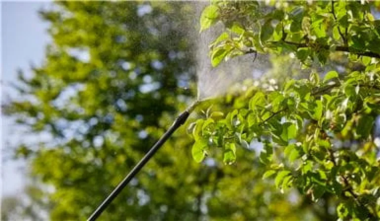 Pulvérisateur à dos 12L GARDENA