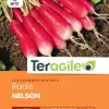 Radis Nelson 9g TERAGILE