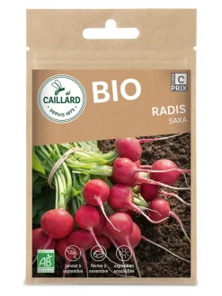 Radis Saxa Bio 5g CAILLARD