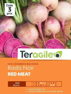 Radis Noir Red Meat 7g TERAGILE