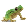 Rainette Verte
