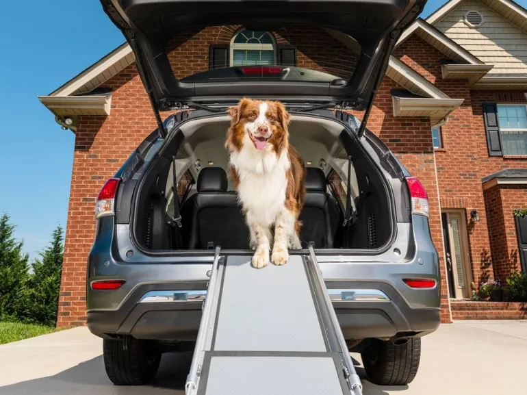 Rampe télescopique Deluxe 2 parties PETSAFE