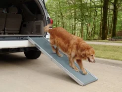 Rampe télescopique Deluxe 2 parties PETSAFE