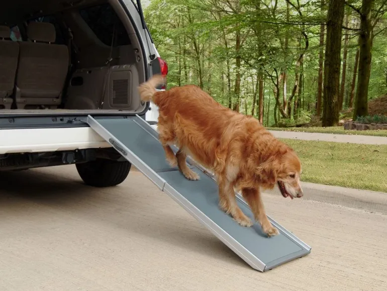 Rampe télescopique Deluxe 2 parties PETSAFE
