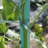 Raphia synthétique prédécoupé Vert 0,5m 200g