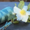Raphia synthétique vert 100gr