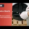 Rats et souris pâte 150 g (10x15g) CAUSSADE