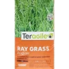 Ray grass anglais 10kg TERAGILE