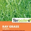 Ray grass anglais 3kg TERAGILE