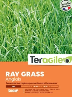 Ray grass anglais 3kg TERAGILE