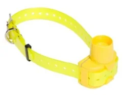 Repérage sonore (Beeper) - Canibeep pro NUM'AXES