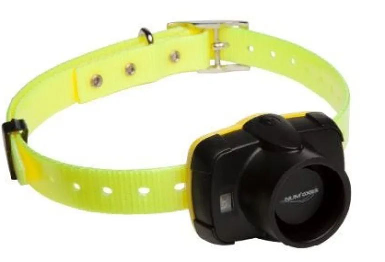 Repérage sonore (Beeper) - Canibeep 5 NUM'AXES