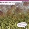 Roseau de Chine panaché Pot 4.5L SILENCE ÇA POUSSE