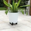 Roule plante extensible Basics noir brillant Ø27/37 cm