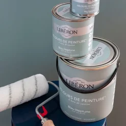 Rouleau de peinture 180mm LIBÉRON