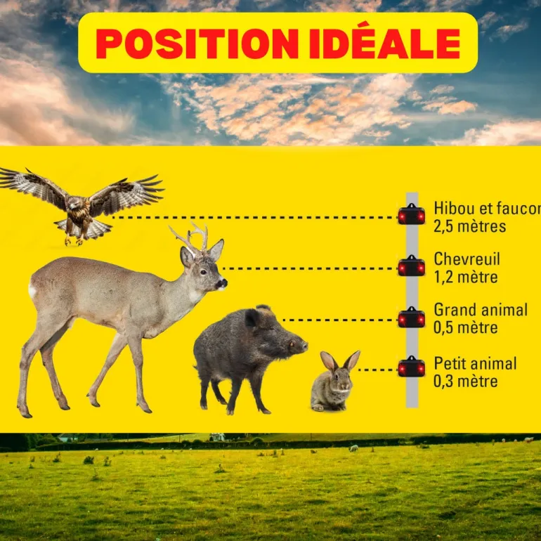 Répulsif lumineux solaire gibier 50m2 ACTO
