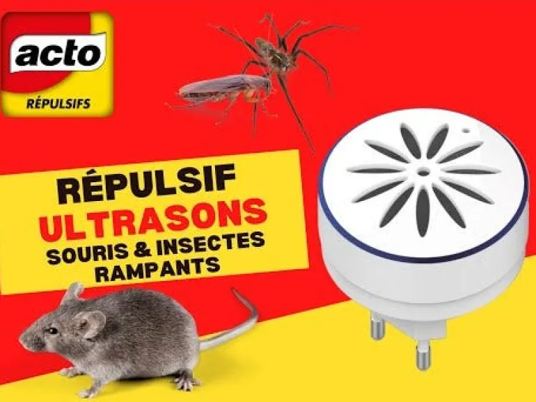 Répulsif à ultrasons souris et insectes rampants (x3)