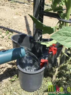 Réservoirs 2L pour tuteur Mikado (x6) gris