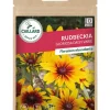 Rudbeckia Gloriosa Daisy varié 0,50g CAILLARD